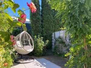 Zahrada ubytování Willa Onyks Apartamenty