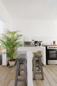 uma cozinha com um balcão com dois bancos e um fogão em Casa Fenix em Sayulita