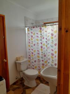 łazienka z toaletą i umywalką w obiekcie Encanto Rural - Casa de campo para disfrutar y olvidar el estrés w mieście Putaendo
