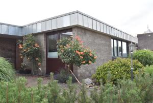 ein Backsteinhaus mit blühenden Bäumen davor in der Unterkunft fewo1846 - Nordlicht - zentral gelegene Wohnung im EG mit Wintergarten und Terrasse in Harrislee