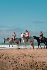 un grupo de personas montando a caballo en la playa en Wood Side Hostel en Mar del Plata