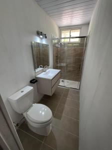 uma casa de banho com um WC, um lavatório e um chuveiro em Te Mao em Avatoru