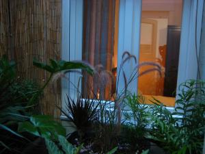 - une vue sur une chambre avec des plantes et une fenêtre dans l'établissement Alkion Apartment, à Thessalonique