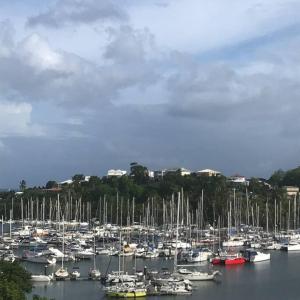 a bunch of boats are docked in a harbor at Charmant T2 à Marina du Gosier in Le Gosier