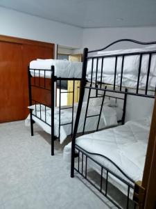 grupa łóżek piętrowych w pokoju w obiekcie Casa familiar Almagor (Hostal) w mieście Bogota