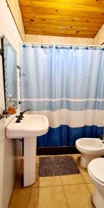 a bathroom with a sink and a toilet and a shower curtain at Departamento completo in Ciudad Lujan de Cuyo