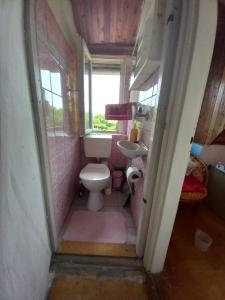 a small bathroom with a toilet and a sink at View Berry House in Csopak