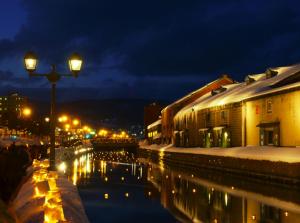 a street light next to a river at night at Meteor Shower in Sapporo