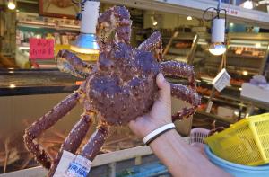 a person holding a giant octopus in a store at Meteor Shower in Sapporo