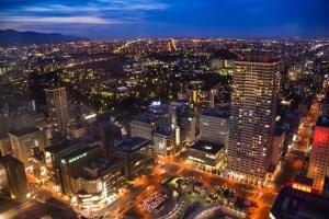 an aerial view of a city at night at Meteor Shower in Sapporo