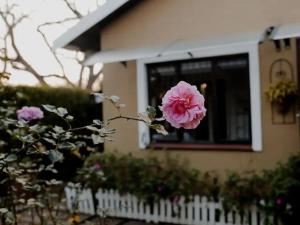 a pink flower in front of a house at Desiderata Chalet in Hilton