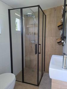 a shower in a bathroom with a toilet and a sink at Klein Windhoek auf Rügen in Ummanz