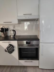 Kuchyň nebo kuchyňský kout v ubytování Maggala apartments