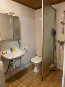 ein Bad mit einem WC, einem Waschbecken und einer Dusche in der Unterkunft Mökki Ruohola in Taivalkoski