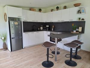 a kitchen with white cabinets and a black refrigerator at Klein Windhoek auf Rügen in Ummanz