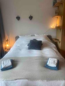 ein weißes Bett mit zwei Kissen darüber in der Unterkunft Sunny Swiss mountain Studio in centre by Jolidi in Nendaz
