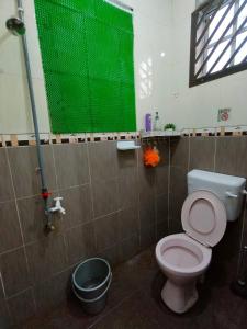 baño con aseo y pantalla verde en Mini Green Homestay en Kulai