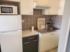 a small kitchen with a white refrigerator and a sink at T2 idéalement situé in Thonon-les-Bains