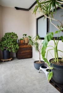 a room with a bunch of potted plants at Moderno, cómodo y lindo departamento en Tijuana BC in Tijuana