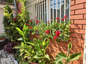 a garden with red flowers on a brick wall at Little Paradise in Sarajevo