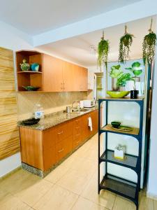 A kitchen or kitchenette at Rooftop Pool Apartment Corralejo
