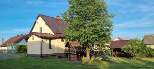a house with a tree in the yard at Kaszubskie Siedlisko Szkodnikówka in Skwierawy