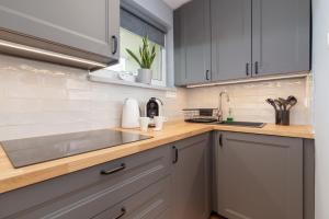 a kitchen with gray cabinets and a sink at Atmospheric Studio Zakopane next to Krupówki by Renters in Zakopane