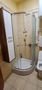 uma casa de banho com um chuveiro e um WC. em Rio apartments em Banja Luka