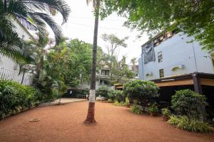 eine Palme mitten im Innenhof in der Unterkunft Hotel Rama Heritage in Nashik