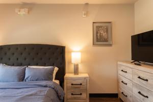 ein Schlafzimmer mit einem Bett und eine Kommode mit einer Lampe in der Unterkunft Cozy Apartment by La Cantera & Rim in San Antonio