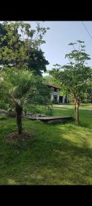 two trees in a yard with a house in the background at Pai Woodland Resort in Pai