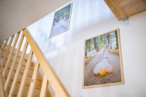 Fotografie z fotogalerie ubytování Duplex Apartma Nikolina v destinaci Spodnje Jarše