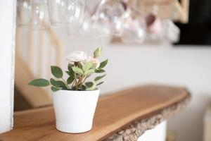 Fotografie z fotogalerie ubytování Duplex Apartma Nikolina v destinaci Spodnje Jarše