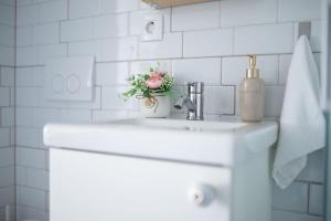 um lavatório de casa de banho com um vaso de flores em Duplex Apartma Nikolina em Spodnje Jarše