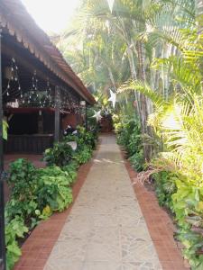 a walkway through a garden with palm trees and plants at Sea Breeze Inn, Calangute Goa in Calangute