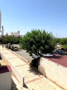 un arbre assis sur le côté d'un mur dans l'établissement 603 Agia Napa Center, à Ayia Napa