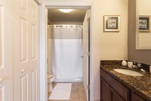 a bathroom with a shower and a sink and a toilet at Cozy Apartment by La Cantera & Rim in San Antonio