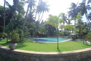 a swimming pool in a yard with palm trees at Hotel Riverrina in Negombo