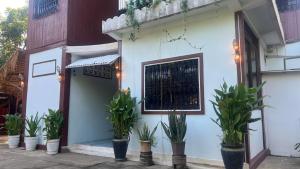 a group of potted plants on the side of a building at Lotus Blanc Homestay in Battambang