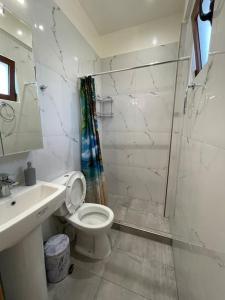 a white bathroom with a toilet and a shower at Eirini house in Leonidio +16 photos