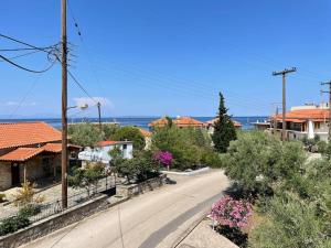 an empty street in a town with trees and flowers at Eirini house in Leonidio
