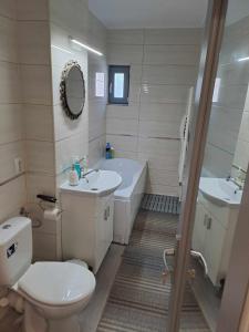 La salle de bains est pourvue de toilettes, d'une baignoire et d'un lavabo. dans l'établissement Natura Slanic Moldova, à Slănic-Moldova