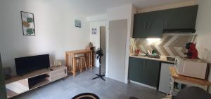 弗雷瑞斯Studio proche plage tout à pied的配有绿色橱柜和台面的厨房 更多6张照片