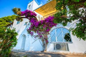 un edificio bianco con fiori viola di fronte di Faraglionensis MonaconeHouse Apartment a Capri