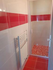 a red and white bathroom with a shower with red tiles at La cabane au fond du jardin in Montrodat