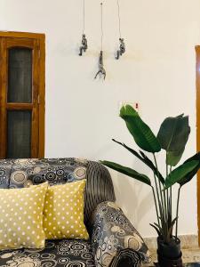 a couch with pillows and a plant in a room at Paridhi in Varanasi