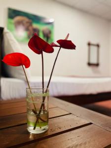 een glazen vaas met rode bloemen op een tafel bij Lake Island Home Stay in Dambulla