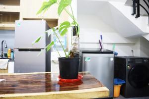 Kuchyň nebo kuchyňský kout v ubytování AMANGO HOSTEL