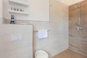 a bathroom with a shower and a toilet in it at Villa Am alten Kreidebruch_ Pentho in Sassnitz +4 photos