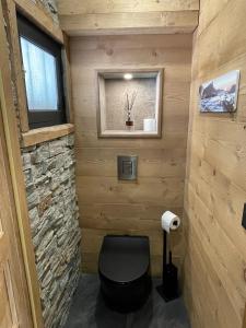 TresservesにあるFlocon du Lacの石壁の小さなバスルーム(トイレ付)